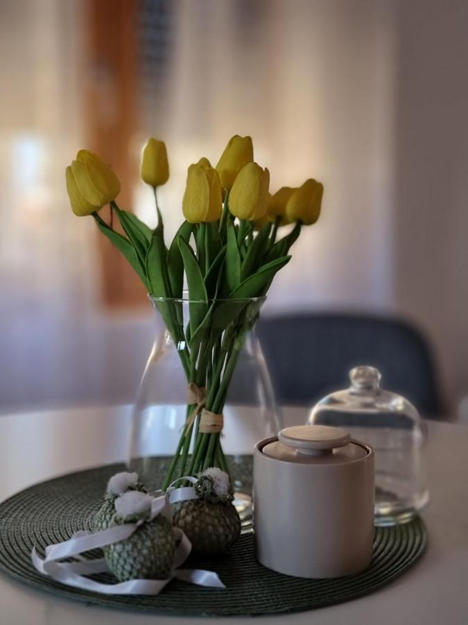 As Apartman 2 Versec Kültér fotó